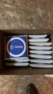 Open Case of Westinghouse Circle Fluorescent Bulb 6 Inches, Cool White 14 Bulbs in Box, 20 Watts,