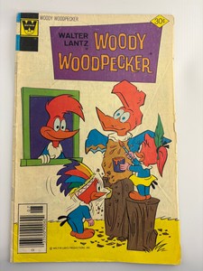 Woody Woodpecker Comic Book Issue #7