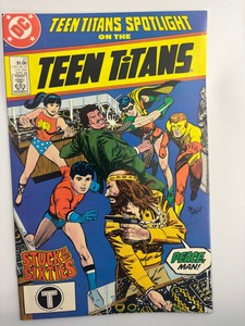 Teen Titans Spotlight on the Teen Titans Issue #21 Robin and Other Heroes DC Comics