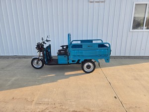 SDLANCH IRET13 Electric Trike wdump bed