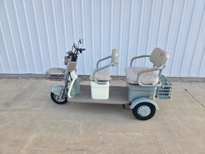 IRGC40 MINI GOLF CART