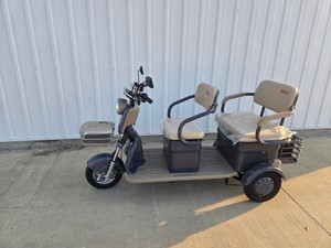 IRGC40 MINI GOLF CART