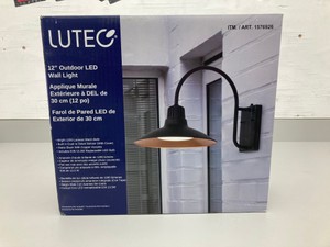 12 Outdoor LED Wall Light