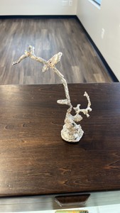 Pure Silver Anthill Mold over 800$ in silver