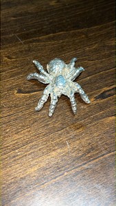 Pure Silver 999 Cast Spider 28g
