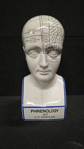 Porcelain Phrenology Head Statue - A replica of the original L.N. Fowler bust ( M&M Resources )