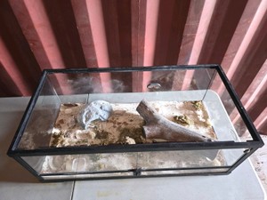 Rectangular Glass Reptile TerrariumEnclosure. For snakes, turtles, lizards, etc.