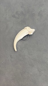 .999 fine silver cast into a bear claw