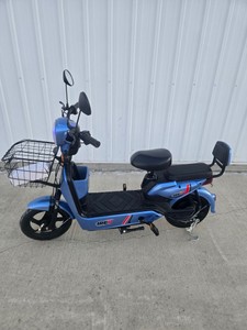 IREV Electric 2 Wheel Seated Scooter