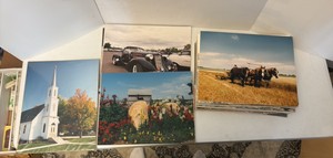 MOUNTED photos 11 x 14  - various subjects
