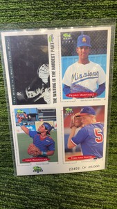 1991 Classic best uncut Promo sheet with Ivan Rodriguez, Pedro Martinez rookie- numbered
