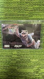 Minnesota Timberwolves mascot crunch autographed pitcher 8.5 X 5.5 
