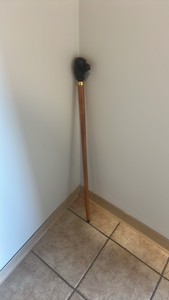 vintage cane with dog head
