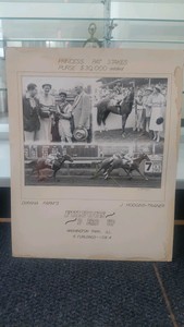 1950s horse racing display