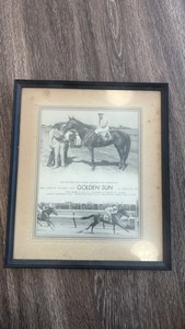 1957 golden son horse racing photo