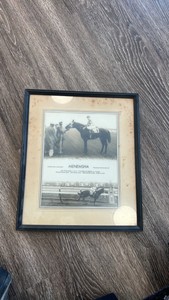 1955 menemsha horse racing photo