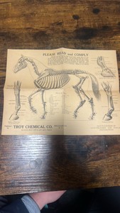 antique horse related advertisement