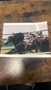 horse racing training photograph