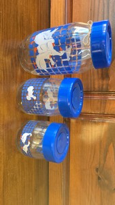 Geese Kitchen Glass Jars with Lids