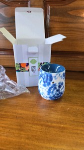 Scentsy Plug In