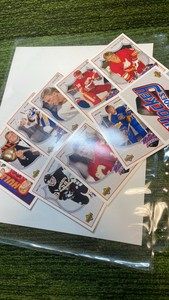 1991  92 Upper Deck NHL Brett Hall Hockey Heroes-10 cards