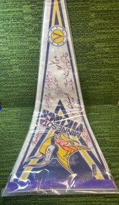 Minnesota Vikings Autographed Pennant , some 15 Signatures