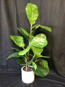 Artificial Fig Tree