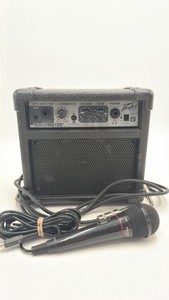 Amplifier and Microphone