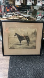 1918 roamer horse lithograph