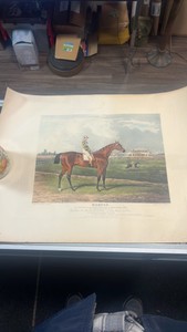 late 1800s memnon horse racing etching