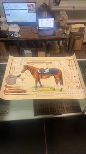 equestrian equipment poster
