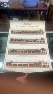 phar lap horse racing poster