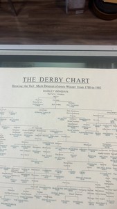 1983 Kentucky derby horse lineage chart 1780-1982