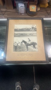 spangled game horse racing photograph