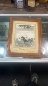 sleepy port horse racing photograph