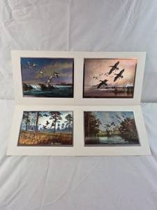 Matted Wildlife Prints  Duck Flock Scenes in Marsh and Woodland Settings