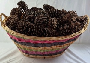 Vintage Handwoven Wicker Basket  Multicolor Striped Design