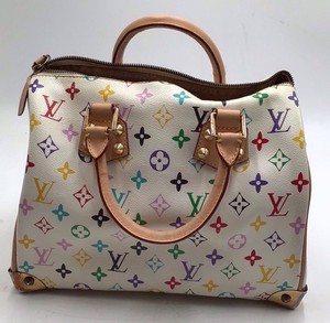 Louis Vuitton Multicolor Speedy 30 Handbag