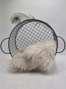 Vintage Wire Egg Basket with Faux Fur Liner and Peacock Feather