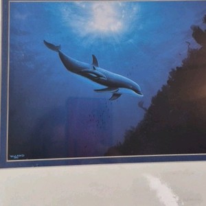 1993 Signed Dolphin Print  Underwater Orca in Blue Depths