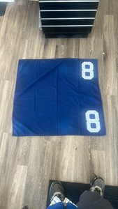 #8 horse blanket