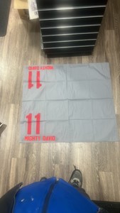 mighty David #11 horse blanket Delmar 2002