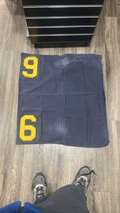 #6 horse blanket