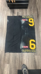 California goal #6 cal fed horse blanket