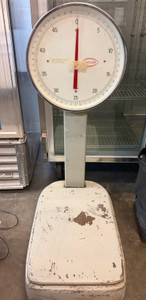 scale