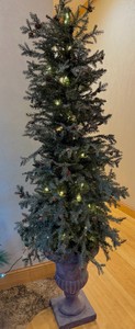 tree with lights