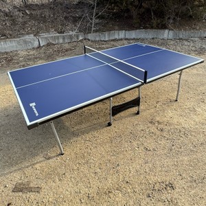 Ping Pong Table