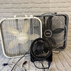 Fans