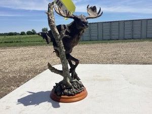 Moose