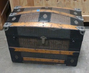 trunk